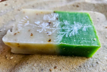 Laden Sie das Bild in den Galerie-Viewer, Aloe Hagebutte