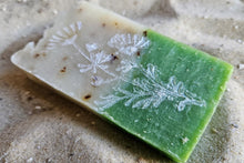 Laden Sie das Bild in den Galerie-Viewer, Aloe Hagebutte