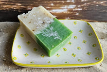 Laden Sie das Bild in den Galerie-Viewer, Aloe Hagebutte