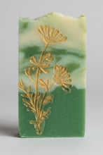 Laden Sie das Bild in den Galerie-Viewer, Aloe Vera