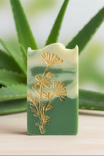 Laden Sie das Bild in den Galerie-Viewer, Aloe Vera
