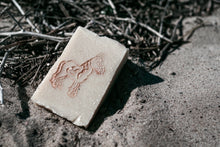 Laden Sie das Bild in den Galerie-Viewer, Cleo