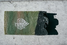 Laden Sie das Bild in den Galerie-Viewer, Avocado