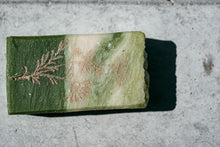 Laden Sie das Bild in den Galerie-Viewer, Aloe Vera