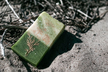 Laden Sie das Bild in den Galerie-Viewer, Aloe Vera