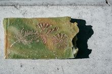 Laden Sie das Bild in den Galerie-Viewer, Noni