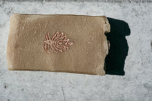 Laden Sie das Bild in den Galerie-Viewer, Arganöl