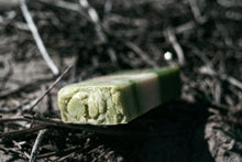 Laden Sie das Bild in den Galerie-Viewer, Aloe Vera
